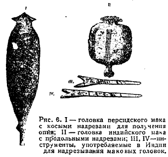 Рис. 6. I — головка персидского мака с косыми надрезами для получения опия; II — головка индийского мака с продольными надрезами; III, IV — инструменты, употребляемые в Индии для надрезывания маковых головок.
