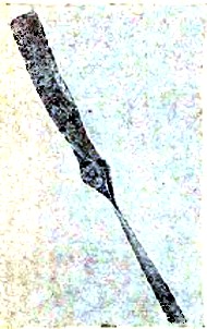 Гребной винт.